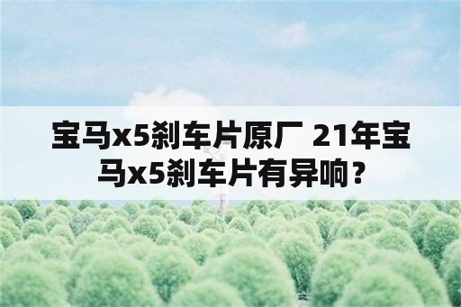 宝马x5刹车片原厂 21年宝马x5刹车片有异响？