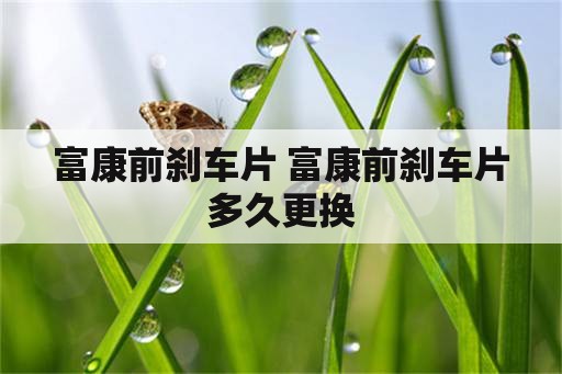 富康前刹车片 富康前刹车片多久更换