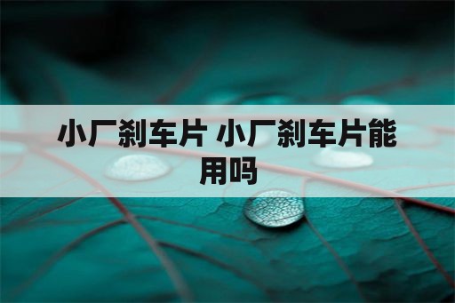 小厂刹车片 小厂刹车片能用吗