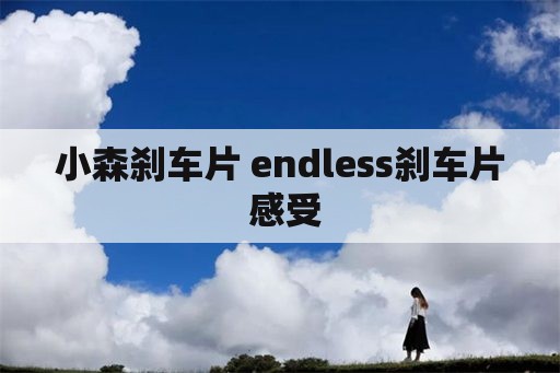 小森刹车片 endless刹车片 感受