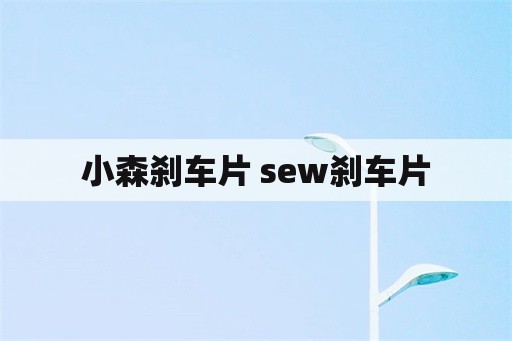 小森刹车片 sew刹车片