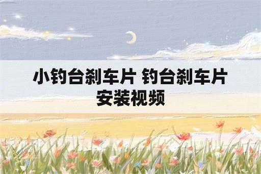 小钓台刹车片 钓台刹车片安装视频