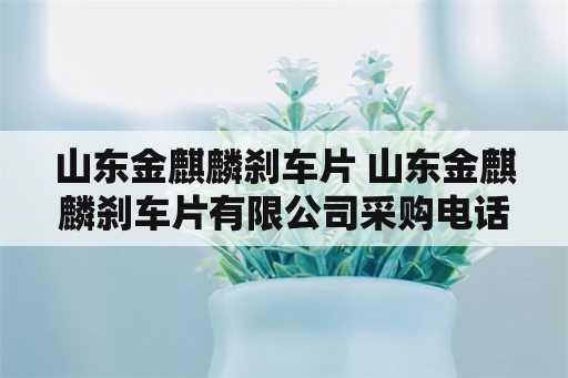 山东金麒麟刹车片 山东金麒麟刹车片有限公司采购电话是多少