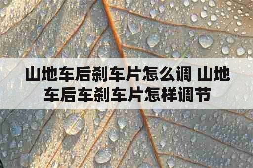 山地车后刹车片怎么调 山地车后车刹车片怎样调节