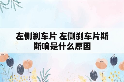 左侧刹车片 左侧刹车片斯斯响是什么原因