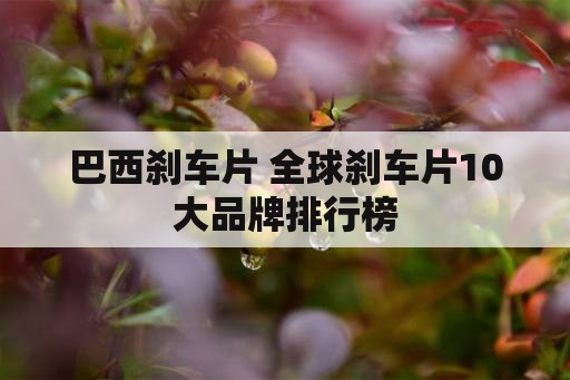 巴西刹车片 全球刹车片10大品牌排行榜