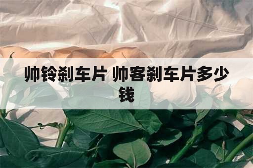 帅铃刹车片 帅客刹车片多少钱