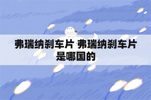 弗瑞纳刹车片 弗瑞纳刹车片是哪国的