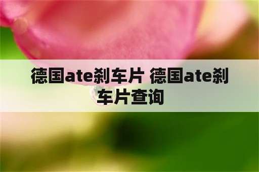 德国ate刹车片 德国ate刹车片查询