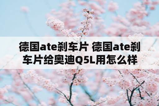 德国ate刹车片 德国ate刹车片给奥迪Q5L用怎么样