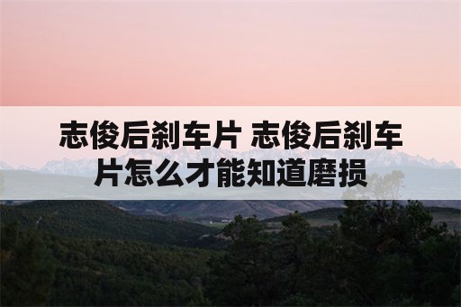 志俊后刹车片 志俊后刹车片怎么才能知道磨损