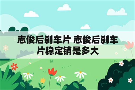 志俊后刹车片 志俊后刹车片稳定销是多大