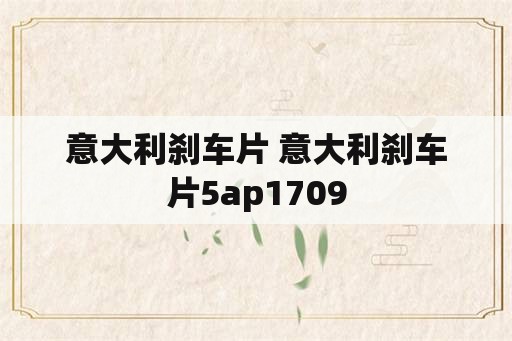 意大利刹车片 意大利刹车片5ap1709