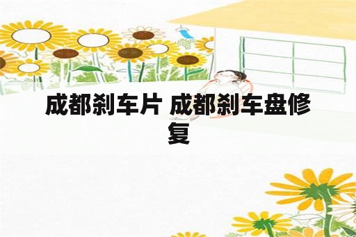 成都刹车片 成都刹车盘修复