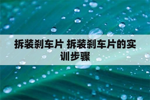 拆装刹车片 拆装刹车片的实训步骤