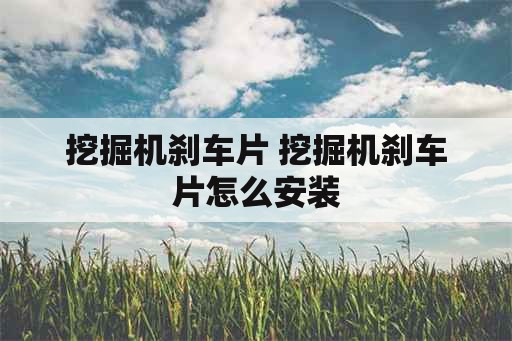 挖掘机刹车片 挖掘机刹车片怎么安装