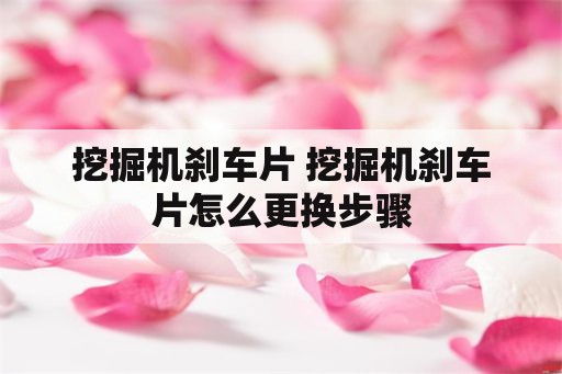 挖掘机刹车片 挖掘机刹车片怎么更换步骤