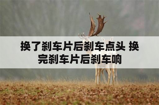 换了刹车片后刹车点头 换完刹车片后刹车响