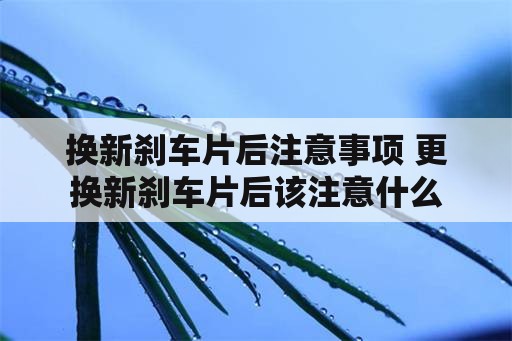 换新刹车片后注意事项 更换新刹车片后该注意什么