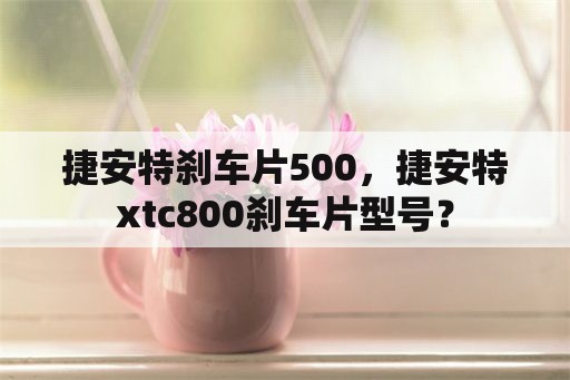 捷安特刹车片500，捷安特xtc800刹车片型号？