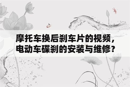 摩托车换后刹车片的视频，电动车碟刹的安装与维修？