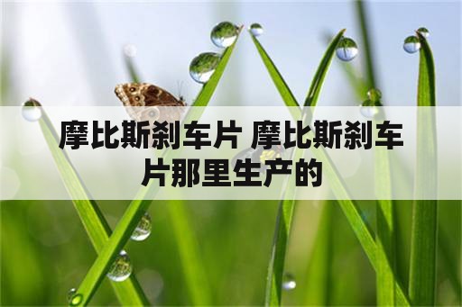 摩比斯刹车片 摩比斯刹车片那里生产的