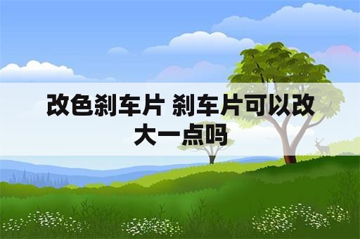 改色刹车片 刹车片可以改大一点吗