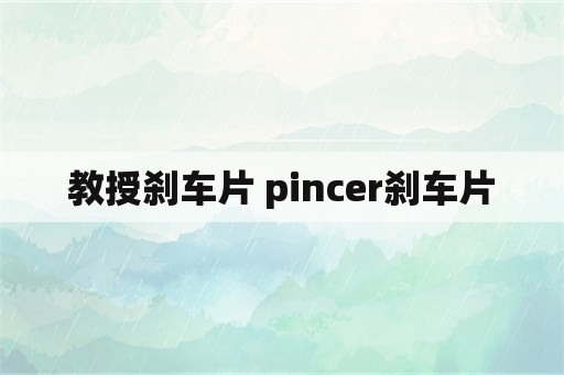 教授刹车片 pincer刹车片