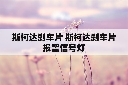 斯柯达刹车片 斯柯达刹车片报警信号灯