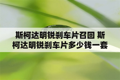 斯柯达明锐刹车片召回 斯柯达明锐刹车片多少钱一套