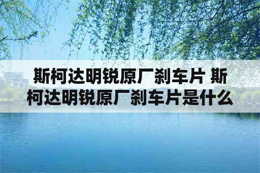 斯柯达明锐原厂刹车片 斯柯达明锐原厂刹车片是什么厂家生产的