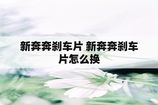 新奔奔刹车片 新奔奔刹车片怎么换