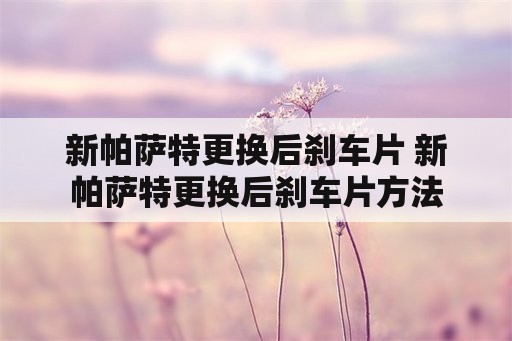 新帕萨特更换后刹车片 新帕萨特更换后刹车片方法