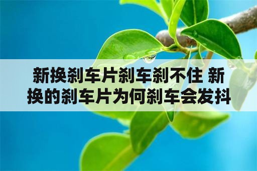 新换刹车片刹车刹不住 新换的刹车片为何刹车会发抖