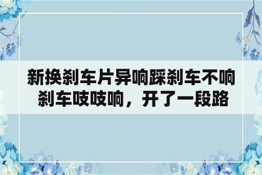 新换刹车片异响踩刹车不响 刹车吱吱响，开了一段路又不响了，这是怎么回事？