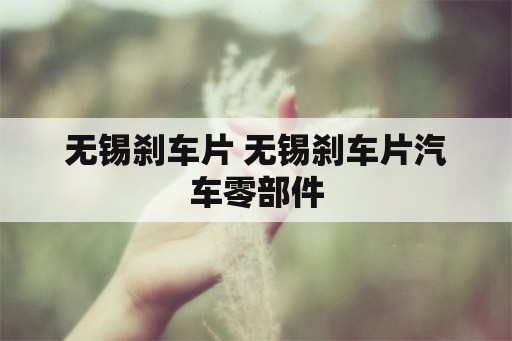 无锡刹车片 无锡刹车片汽车零部件