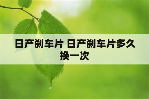 日产刹车片 日产刹车片多久换一次