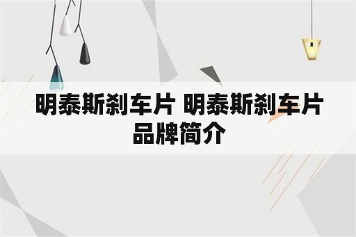 明泰斯刹车片 明泰斯刹车片品牌简介