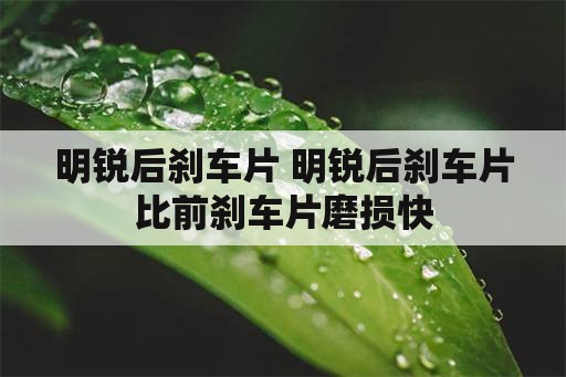 明锐后刹车片 明锐后刹车片比前刹车片磨损快