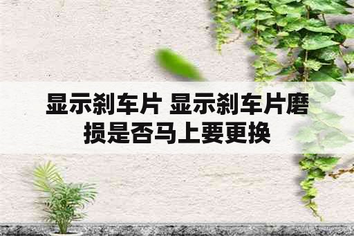 显示刹车片 显示刹车片磨损是否马上要更换