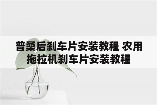 普桑后刹车片安装教程 农用拖拉机刹车片安装教程