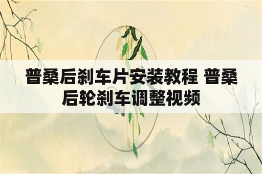 普桑后刹车片安装教程 普桑后轮刹车调整视频