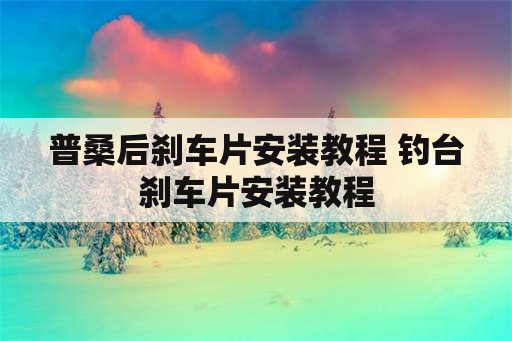 普桑后刹车片安装教程 钓台刹车片安装教程