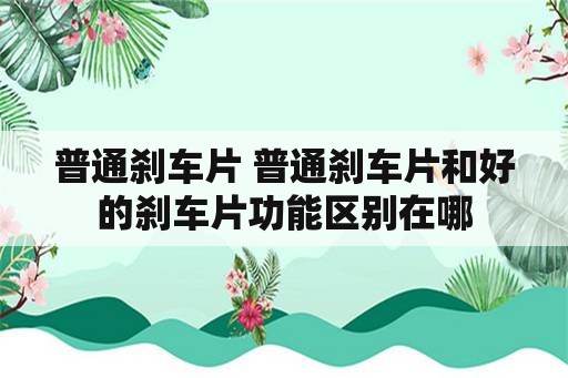 普通刹车片 普通刹车片和好的刹车片功能区别在哪