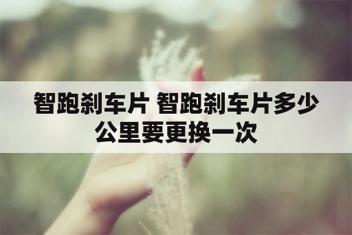 智跑刹车片 智跑刹车片多少公里要更换一次