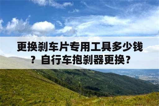 更换刹车片专用工具多少钱？自行车抱刹器更换？