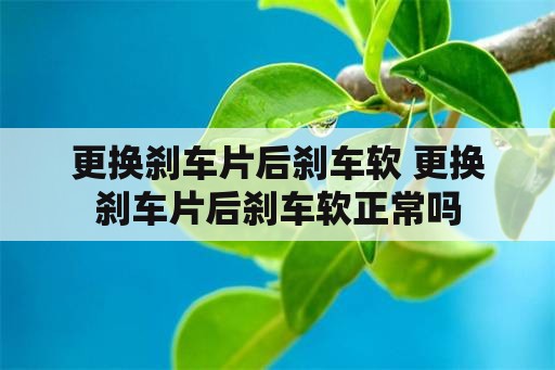 更换刹车片后刹车软 更换刹车片后刹车软正常吗