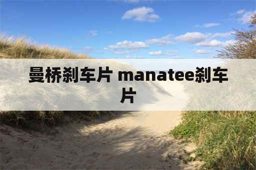 曼桥刹车片 manatee刹车片