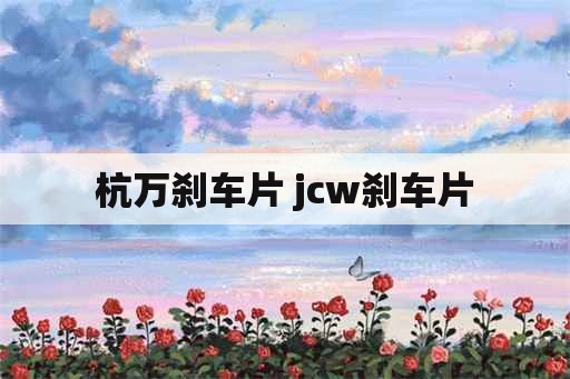 杭万刹车片 jcw刹车片