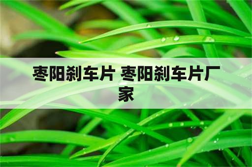 枣阳刹车片 枣阳刹车片厂家